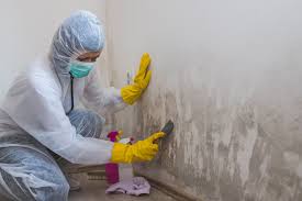 Asbestos and Lead Testing During Mold Inspection in Tucker, GA